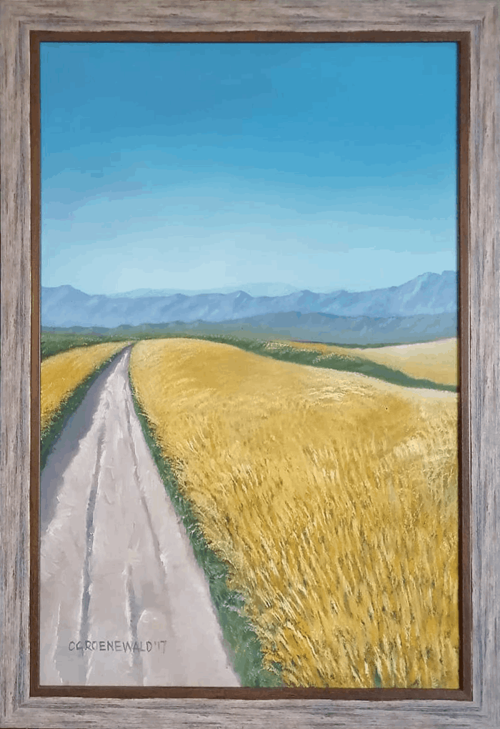 Curve - Coenie Groenewald