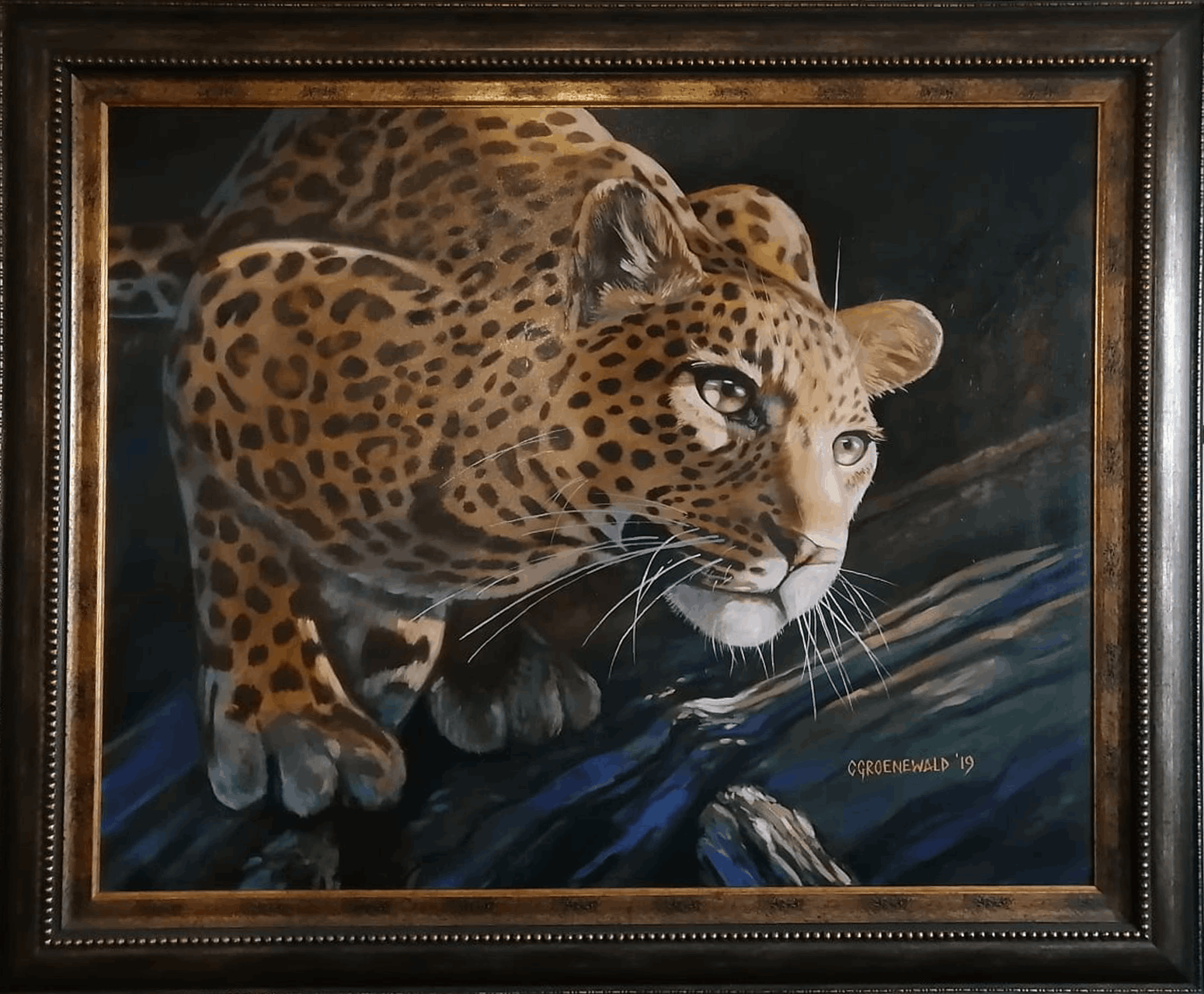 Gazer - Coenie Groenewald