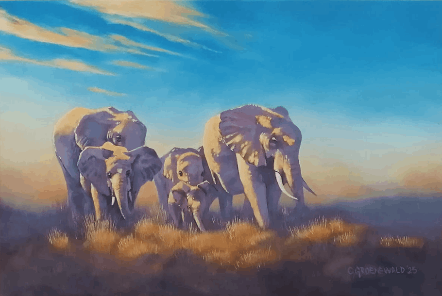 crisp-air - Coenie Groenewald