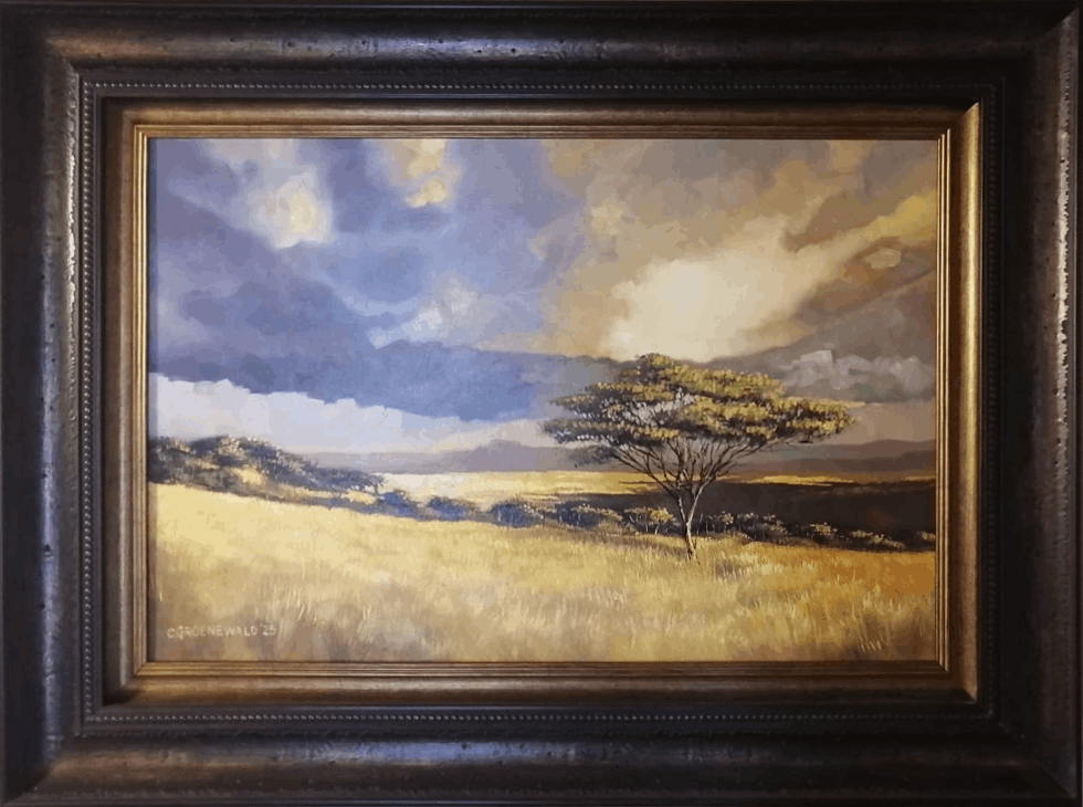 sunlit - Coenie Groenewald