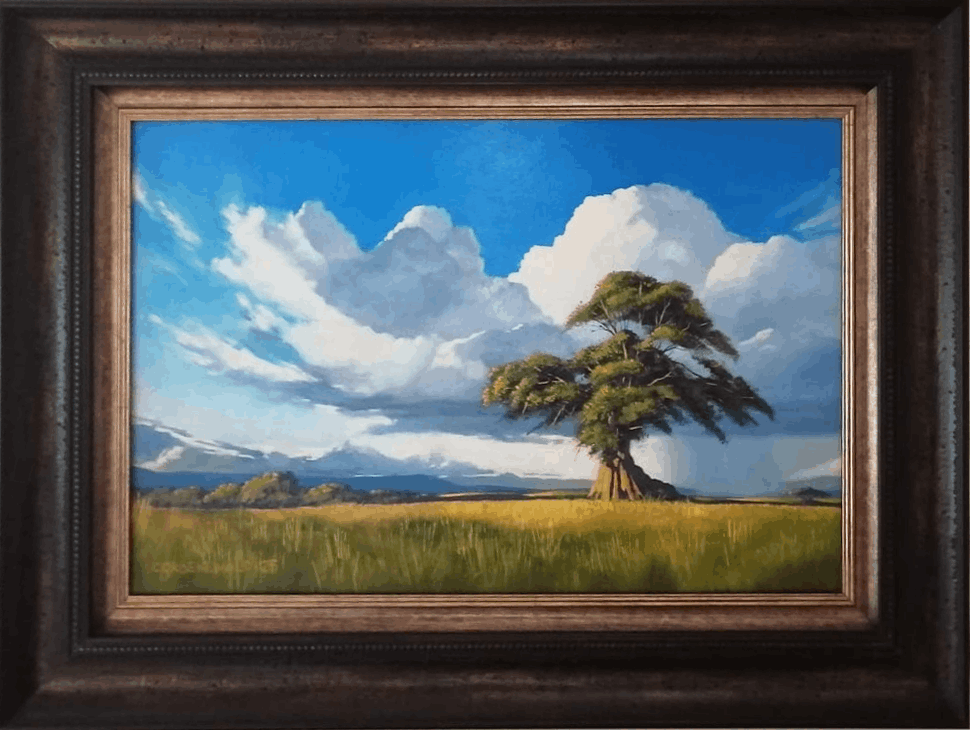 shower - Coenie Groenewald