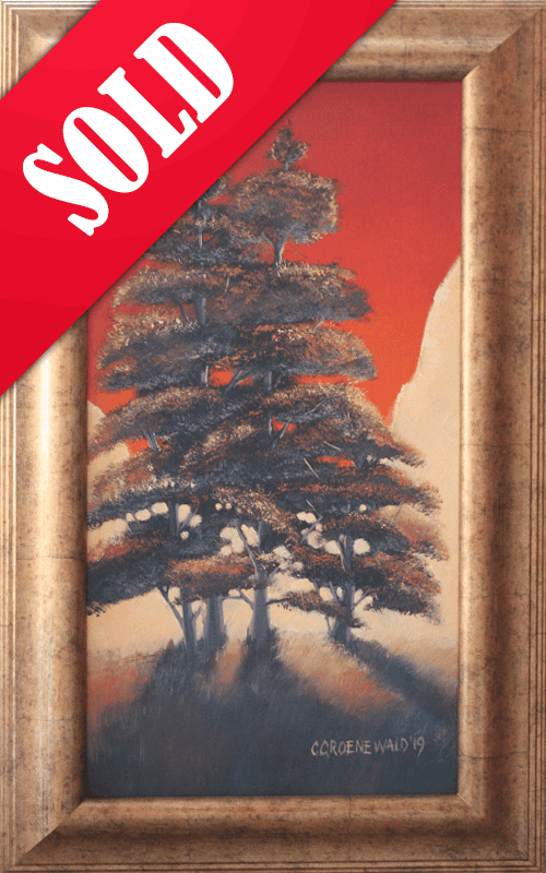 Orange Rays - Coenie Groenewald