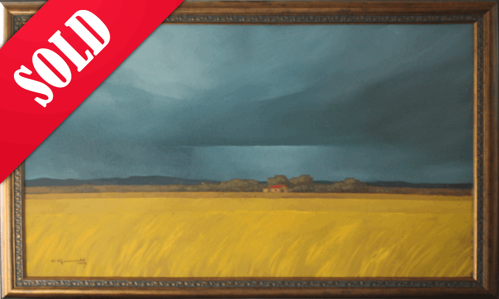 Yellow Field - Coenie Groenewald