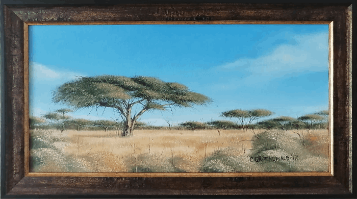 savannah - Coenie Groenewald